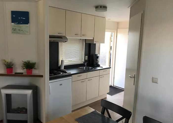 Blauwe Zeedistel * IJmuiden