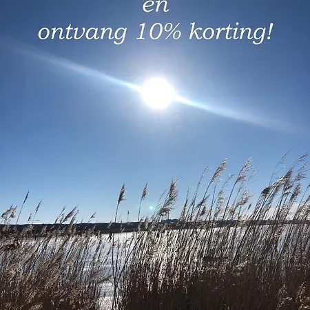 Blauwe Zeedistel * آيْماردين